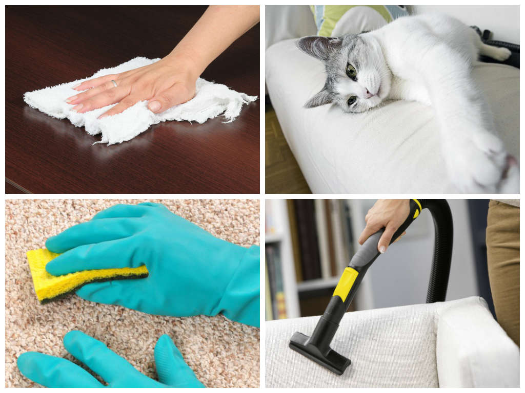 Как Почистить Штаны От Шерсти В Домашних