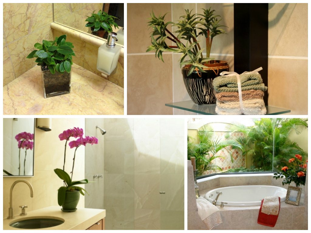 Цветы в ванной без окон. Растения в ванной комнате. Цветочная композиция в ванной комнате. Комнатные растения в ванной. Цветок в горшке в ванной.